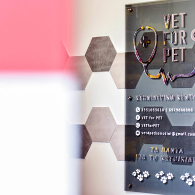 vet for pet